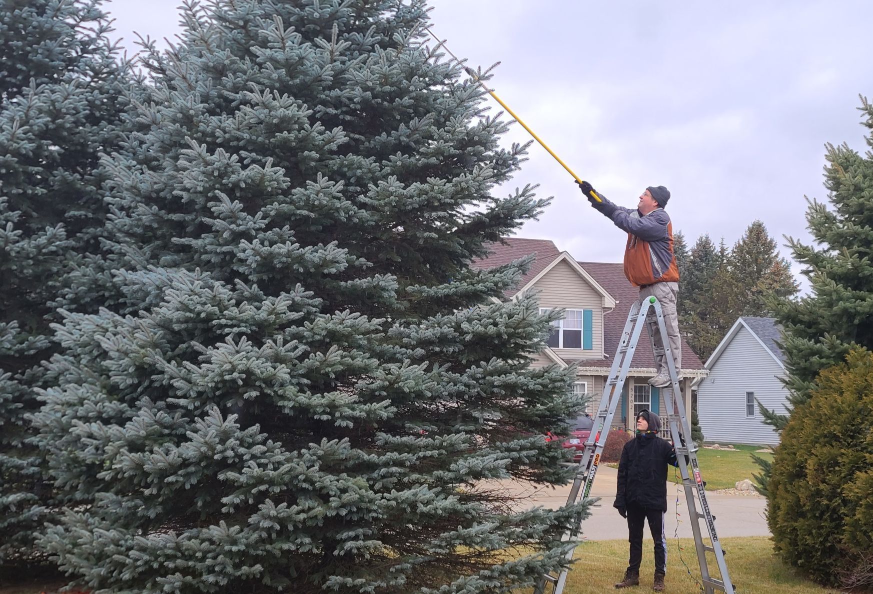Francis and Nick trim a tree
